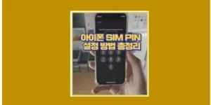 아이폰 SIM PIN