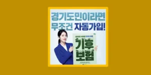 기후보험