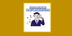 다른 SIM